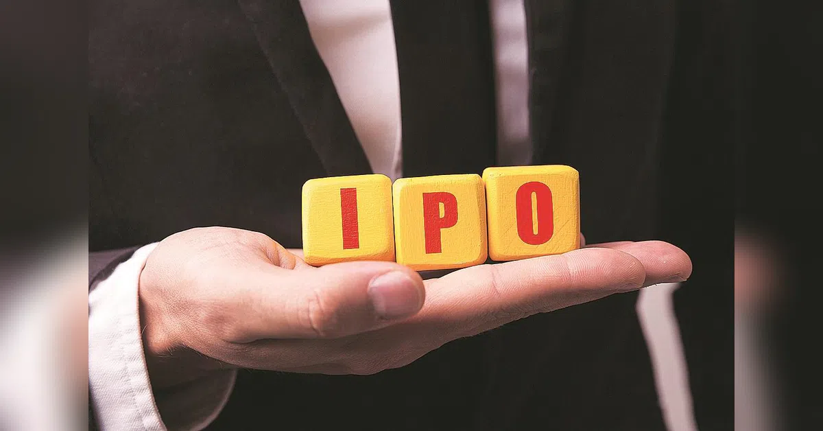 Turtlemint raises ₹397.2 crore from anchor investors ahead of IPO | IPO